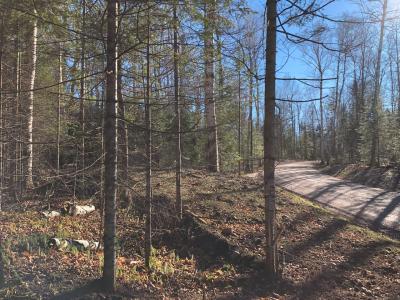 Lot 4 East Bay Rd, Presque Isle, Wisconsin 54557, Estados Unidos