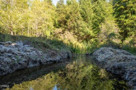 31101 Turner Road, Fort Bragg, Californie 95437, États-Unis