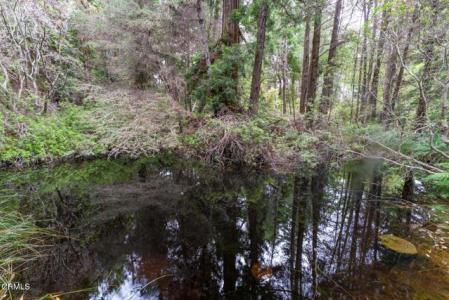 31101 Turner Road, Fort Bragg, Californie 95437, États-Unis