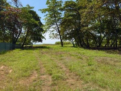 Parrita Parrita, Puntarenas 00001, Costa Rica