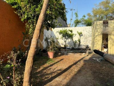 Gobernador Cristobal Solano 107,, Ecatepec De Morelos, Estado De México 55270, México