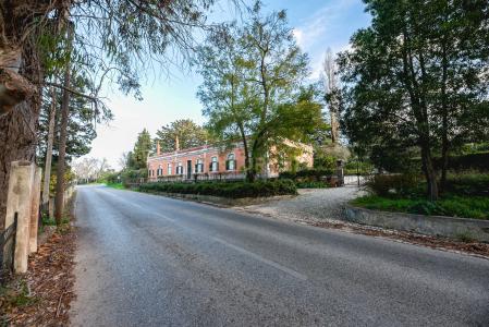 Setúbal, Setúbal 2925-776, Portugal