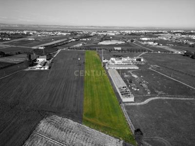 Alcochete, Setúbal 2890-299, Portugal