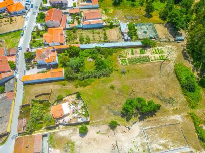 Caldas Da Rainha, Leiria 2500-315, Portugal