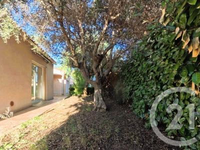 Saleilles, Languedoc-Roussillon 66280, Francia