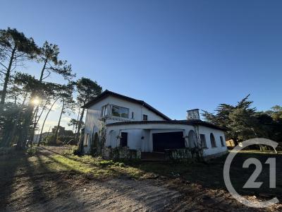 Mimizan, Aquitaine 40200, France