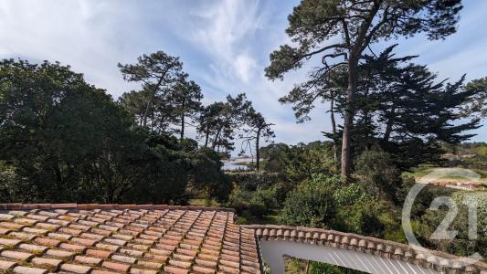 Mimizan, Aquitaine 40200, France