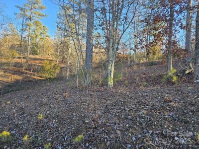 2167 Inlet Shore Road NE, Connelly Springs, Северная Каролина 28612, Соединенные Штаты