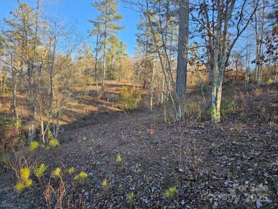 2167 Inlet Shore Road NE, Connelly Springs, Северная Каролина 28612, Соединенные Штаты