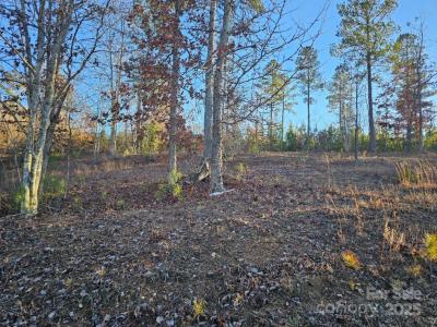 2167 Inlet Shore Road NE, Connelly Springs, Северная Каролина 28612, Соединенные Штаты