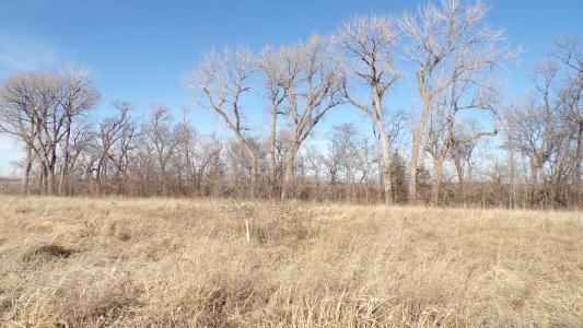 8297 Elizabeth Plaza, Columbus, Nebraska 68601, USA