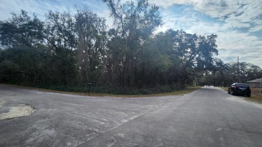00 Fisher Way Run, Ocklawaha, Florida 32179, Estados Unidos