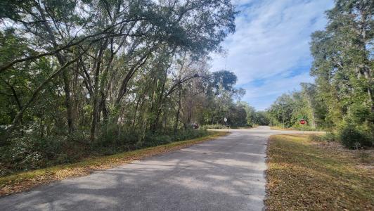 00 Fisher Way Run, Ocklawaha, Florida 32179, Estados Unidos