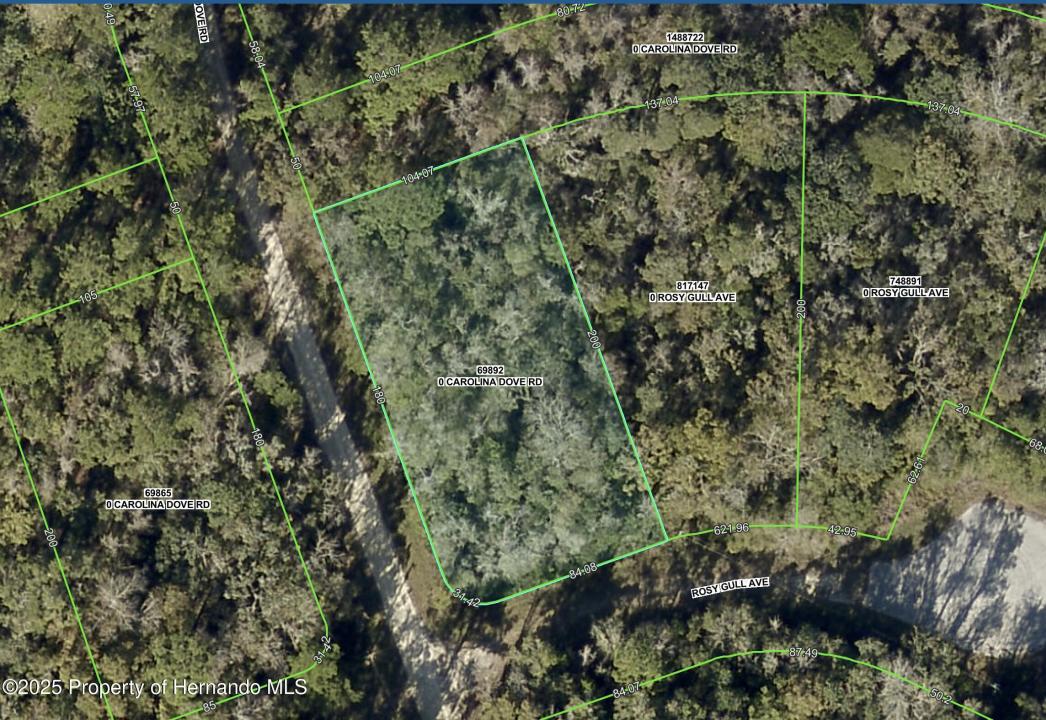 Lot 1 Carolina Dove Road, Weeki Wachee, 플로리다 34614, 미국