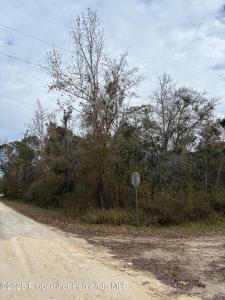 Lot 1 Carolina Dove Road, Weeki Wachee, 플로리다 34614, 미국