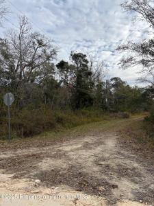 Lot 1 Carolina Dove Road, Weeki Wachee, 플로리다 34614, 미국