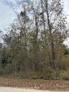 Lot 1 Carolina Dove Road, Weeki Wachee, 플로리다 34614, 미국