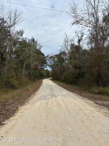 Lot 1 Carolina Dove Road, Weeki Wachee, 플로리다 34614, 미국
