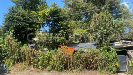 corregidora s/n,, Xicotepec, Puebla 73080, Mexico