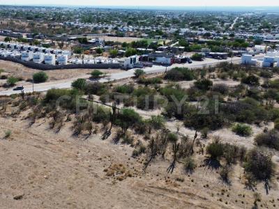 C. Humanidad S/N,, La Paz, Baja California Sur 23205, Mexico
