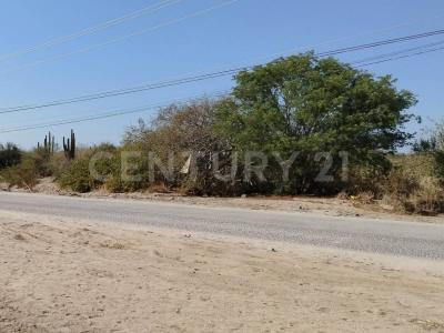 C. Humanidad S/N,, La Paz, Baja California Sur 23205, Mexico