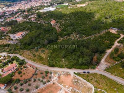 Porto de Mós, Leiria 2485-150, Portugal