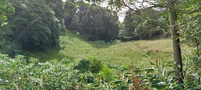 Vila Franca Do Campo, サンミゲル島 9680-000, ポルトガル