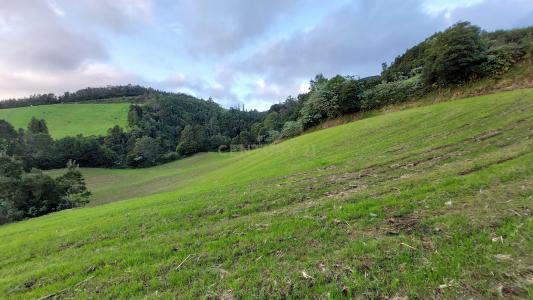 Vila Franca Do Campo, サンミゲル島 9680-000, ポルトガル