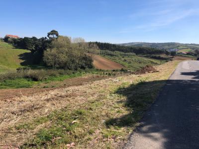 Lourinhã, Lisbon 2530-087, Portugal