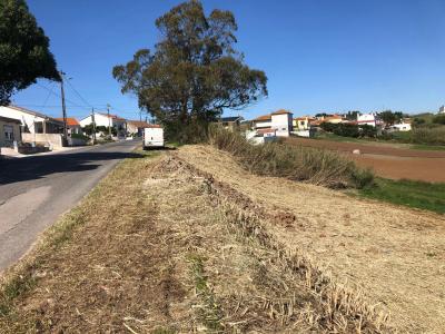 Lourinhã, Lisbon 2530-087, Portugal