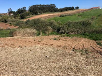 Lourinhã, Lisbon 2530-087, Portugal