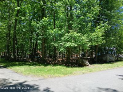 021 Shingle Mill Drive, Drums, Pennsylvania 18222