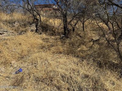 TBD W Elm Street, Nogales, Arizona 85621, USA