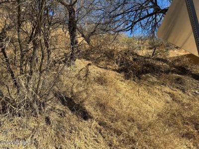 TBD W Elm Street, Nogales, Arizona 85621