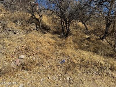 TBD W Elm Street, Nogales, Arizona 85621