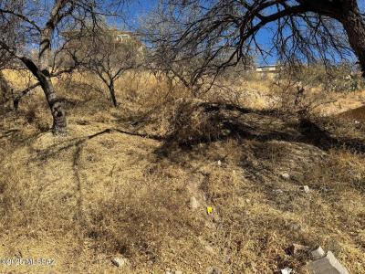 TBD W Elm Street, Nogales, Arizona 85621