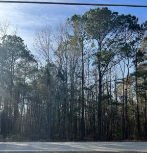 TBD Hwy 260, Manning, SC 29102, USA