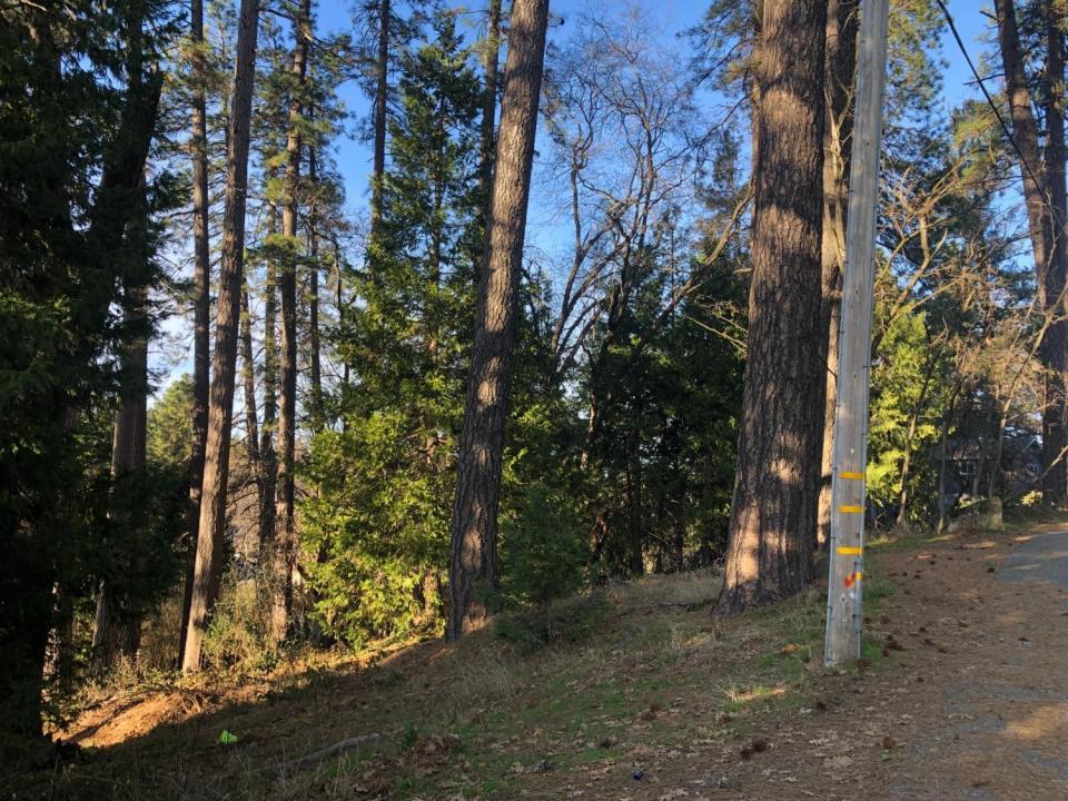 410 W Marshall Street, Grass Valley, Kalifornia 95945, USA