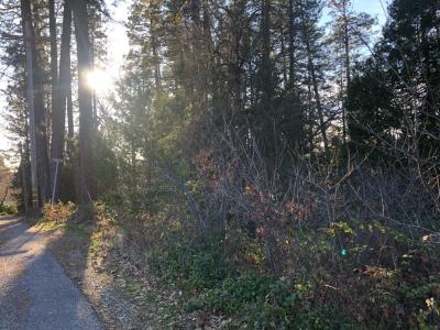 410 W Marshall Street, Grass Valley, Kalifornia 95945, USA
