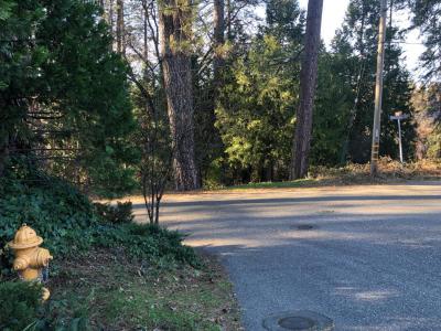 410 W Marshall Street, Grass Valley, Kalifornia 95945, USA