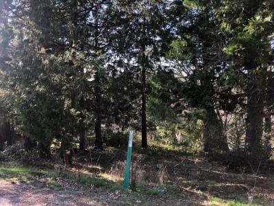 410 W Marshall Street, Grass Valley, Kalifornia 95945, USA