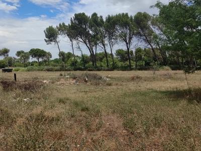 Bloemfontein, Free State, South Africa