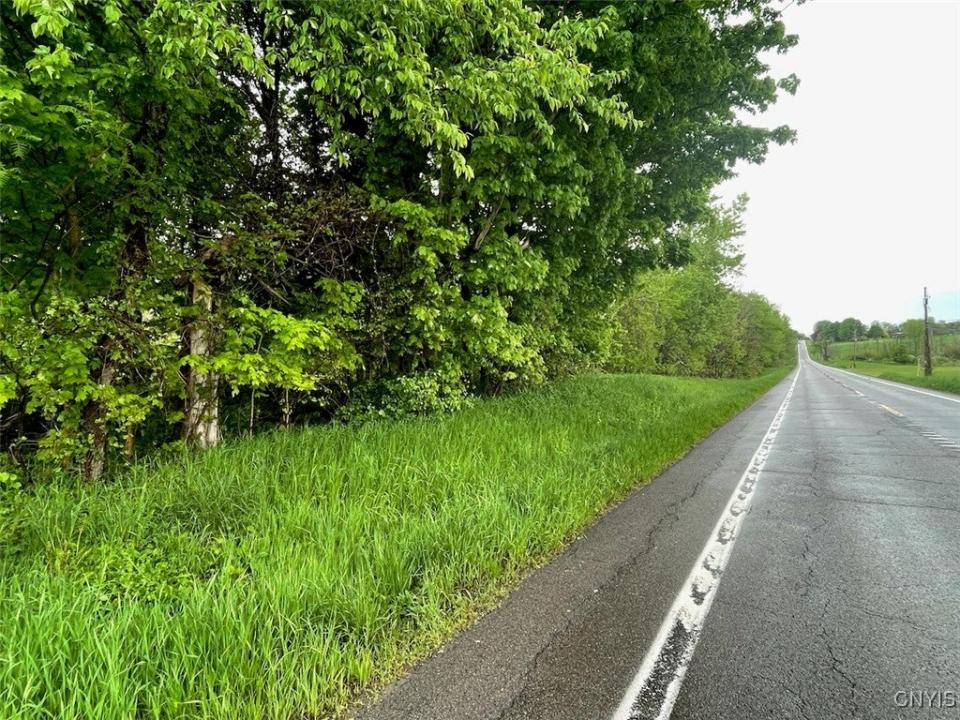 0 State Route 104a Road, Sterling, New York 13156