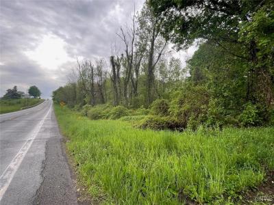 0 State Route 104a Road, Sterling, New York 13156