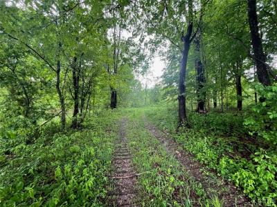 0 State Route 104a Road, Sterling, New York 13156