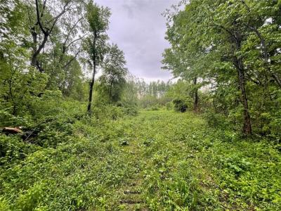 0 State Route 104a Road, Sterling, New York 13156