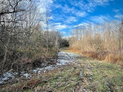 0 State Route 104a Road, Sterling, New York 13156