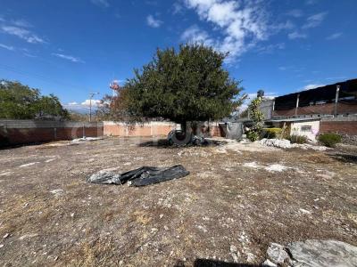 BUGAMBILIAS 13,, Yautepec, Morelos 62737, Mexico