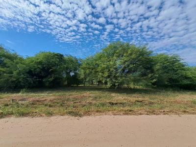 Loma plata , Loma Plata, Boquerón 00001, 巴拉圭