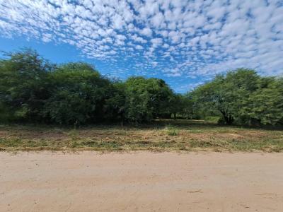 Loma plata , Loma Plata, Boquerón 00001, 巴拉圭